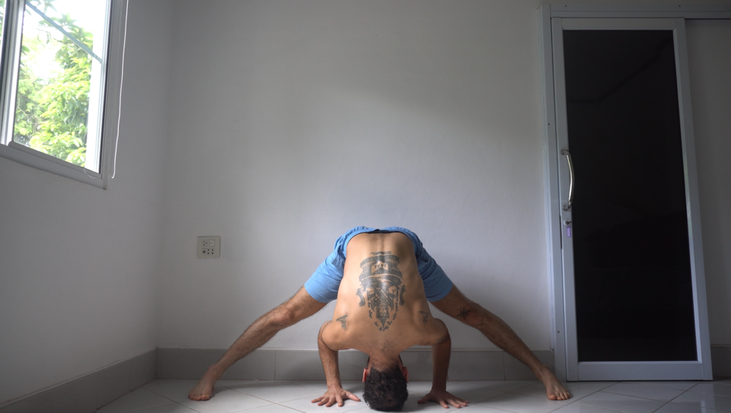 Prasarita Padottanasana A & C